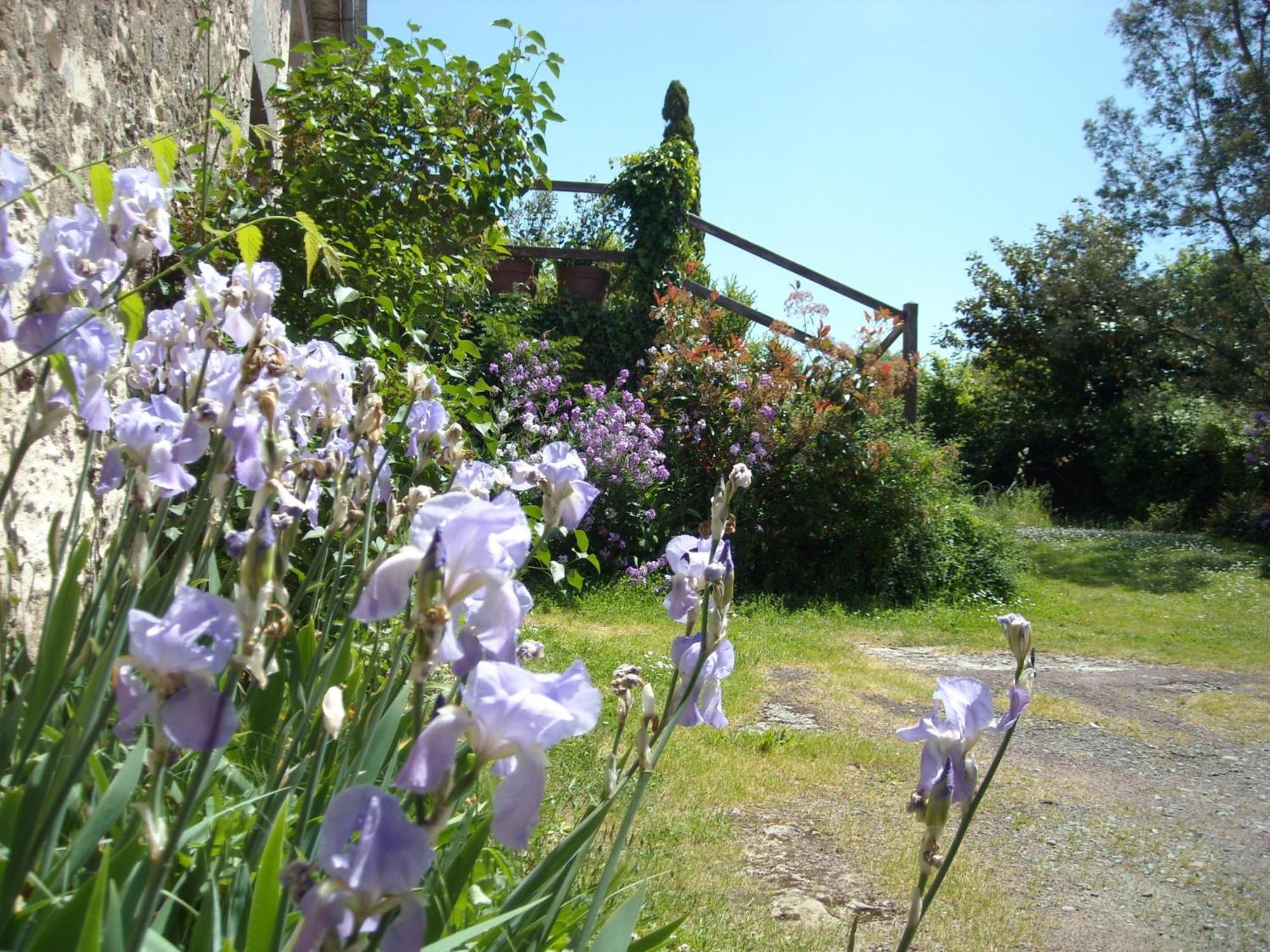 Bed and Breakfast La Tour Des Laudes Breuil-Barret Exteriér fotografie
