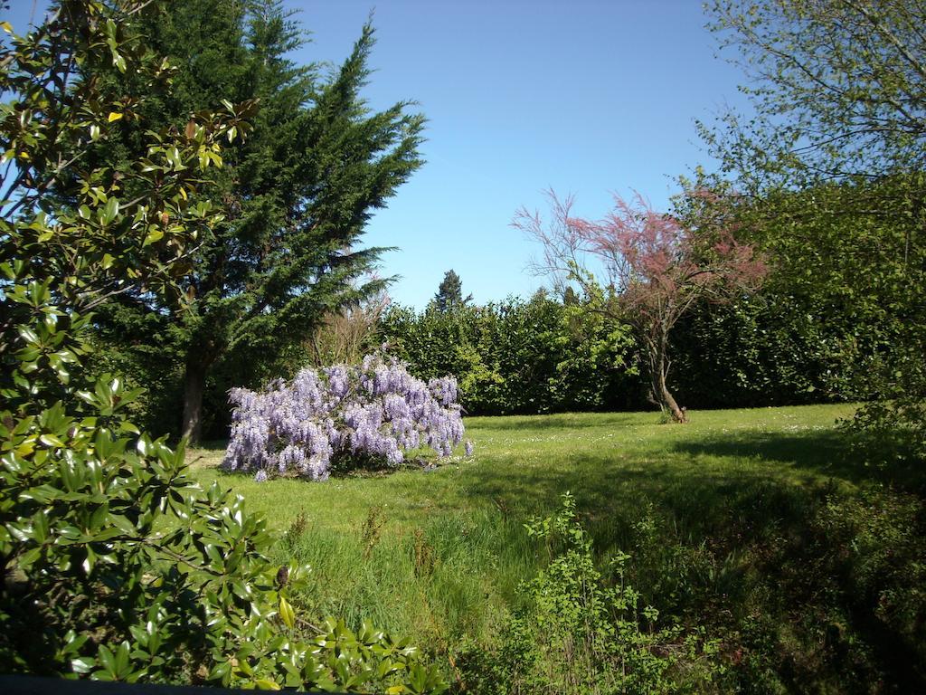 Bed and Breakfast La Tour Des Laudes Breuil-Barret Pokoj fotografie